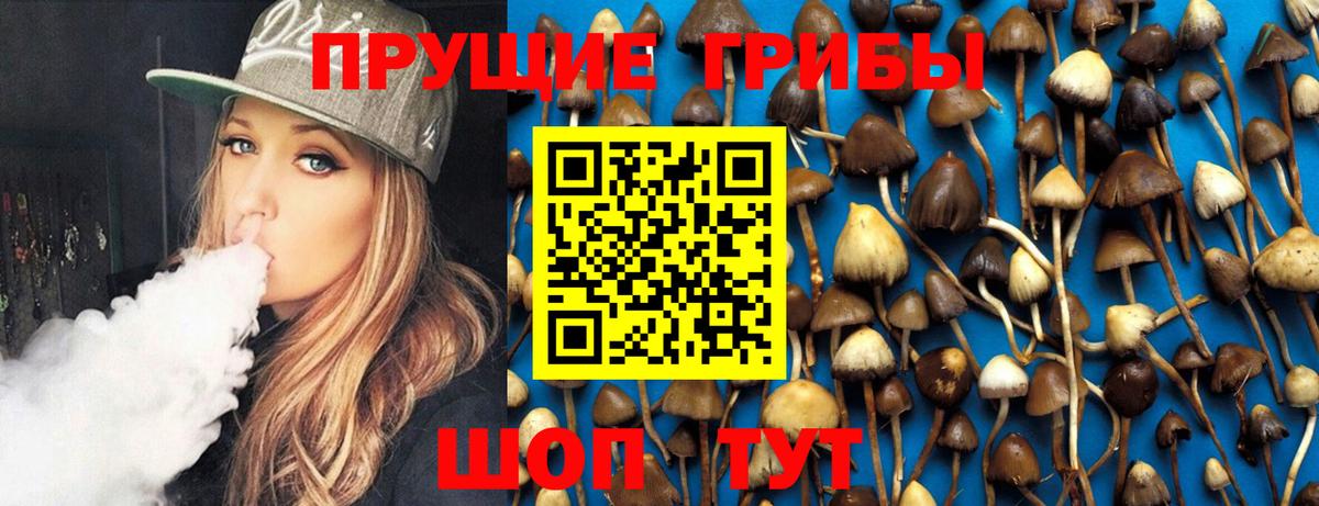 Галлюциногенные грибы Cubensis  Псилоцибиновые грибы мицелий  Вход с VPN  Волгоград 