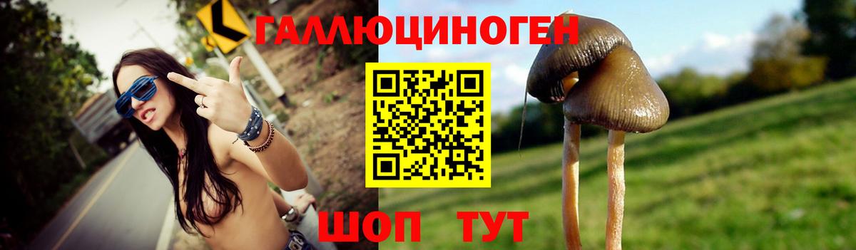 Псилоцибиновые грибы MAGIC MUSHROOMS Волгоград
